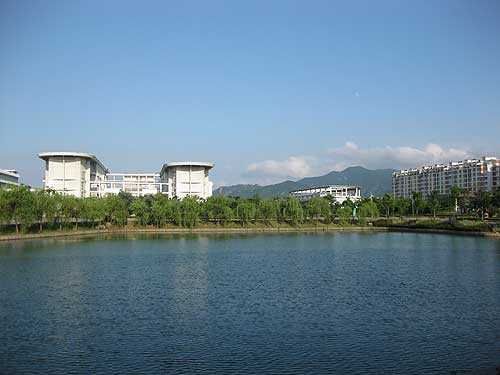 ���������д���������