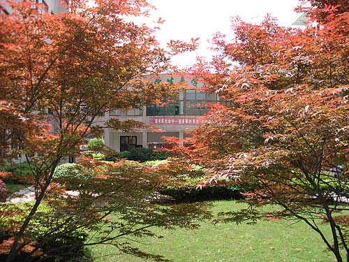 ��ְԺ��У����Ҷ����