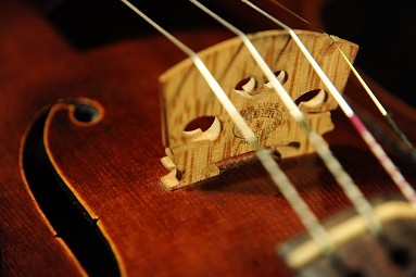 С����ϸ������