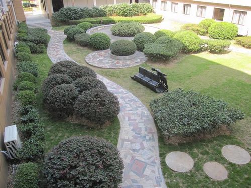 6������ϵ�⾰У԰